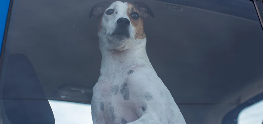 Car Lockout Solutions in Chino Hills, California